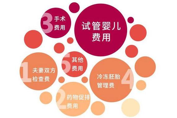 包成功试管代怀(成功试管代怀：包生育服务全攻略)
