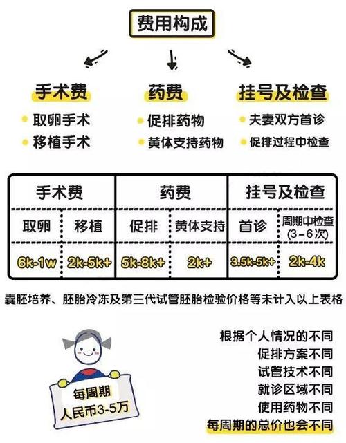 国内试管代怀需要多少费用【国内试管代怀需要多少费用?】