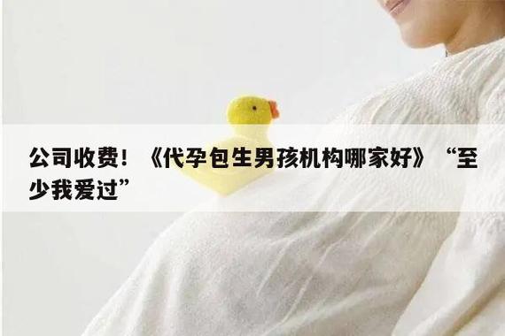 包生男孩机构哪家好-包生男孩机构哪家好?选择最佳教育机构助力孩子成长