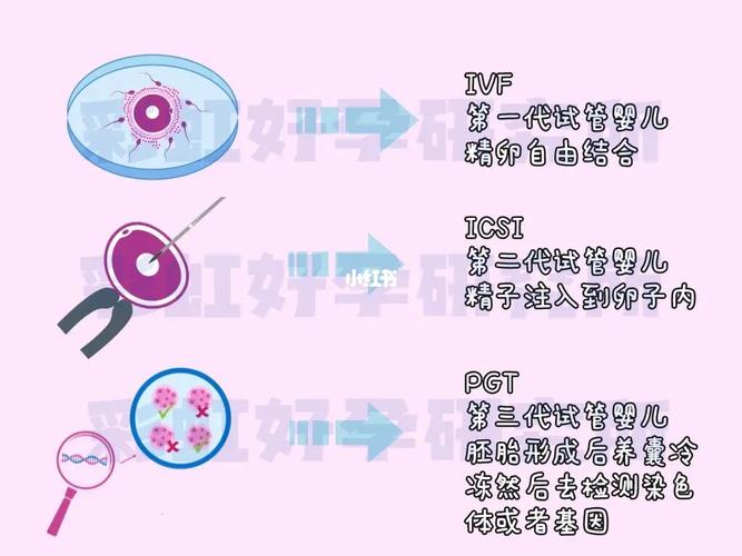国内试管代怀费用_国内试管代怀费用优惠政策解读